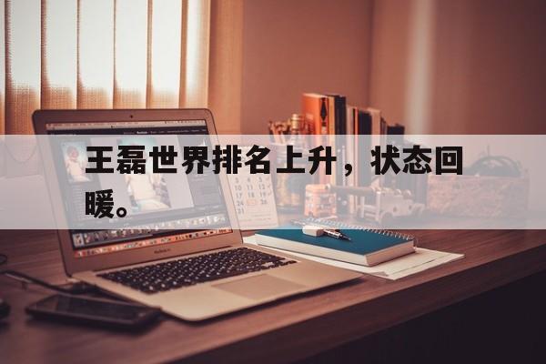意甲积分榜-王磊世界排名上升，状态回暖。